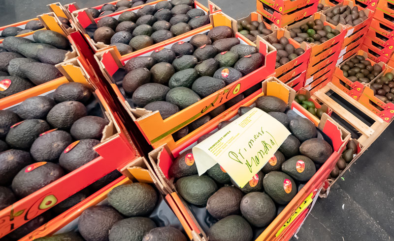 Mûrissage d’avocats Rungis