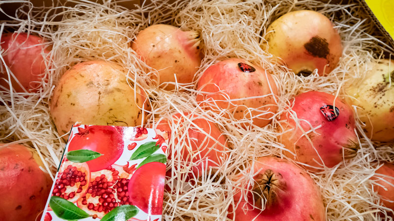 Grossiste en fruits et légumes Rungis