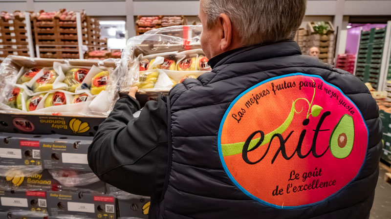 Grossiste fruits exotiques Rungis