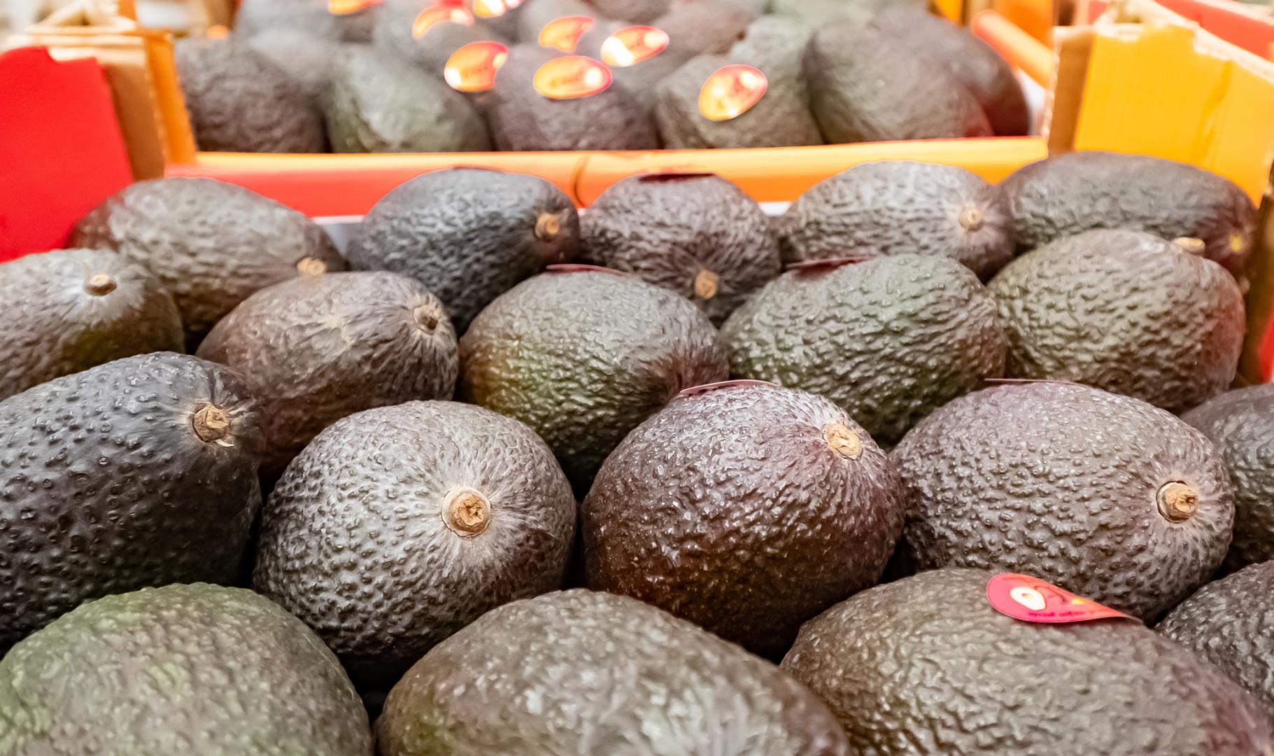 Mûrissage d’avocats Rungis